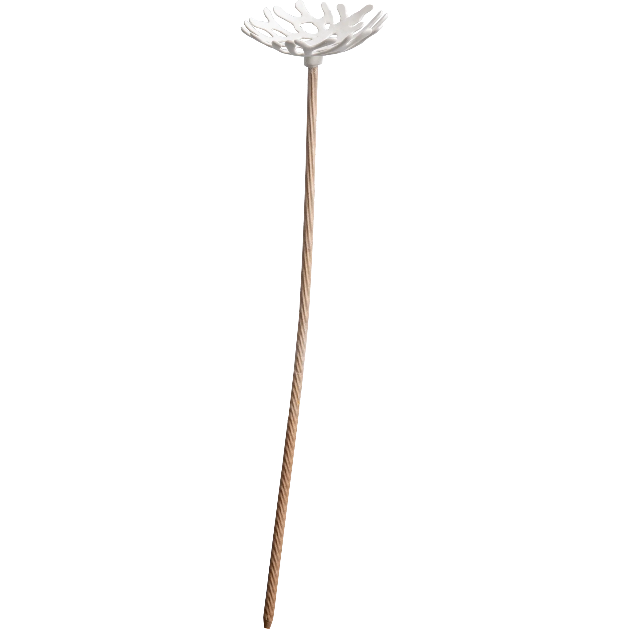 Tuotekuva 1